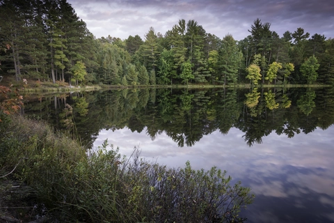 Fallison Lake Loop