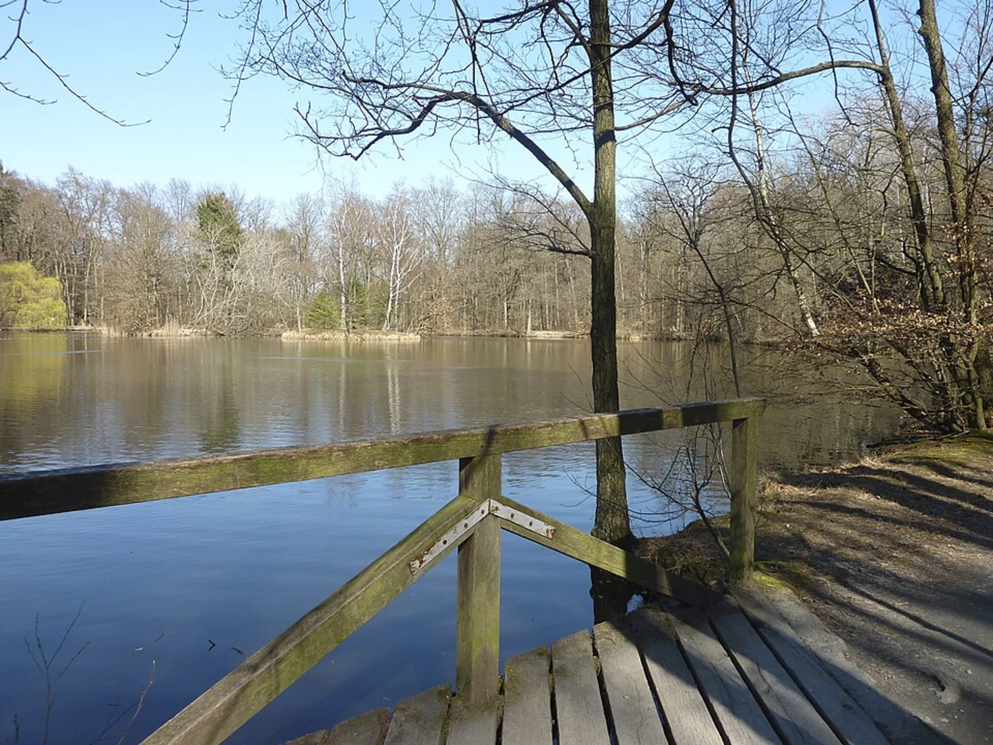 An image depicting the trail Luderbach and Maunzenweiher via Gruenguertelwanderweg and its surrounding area.
