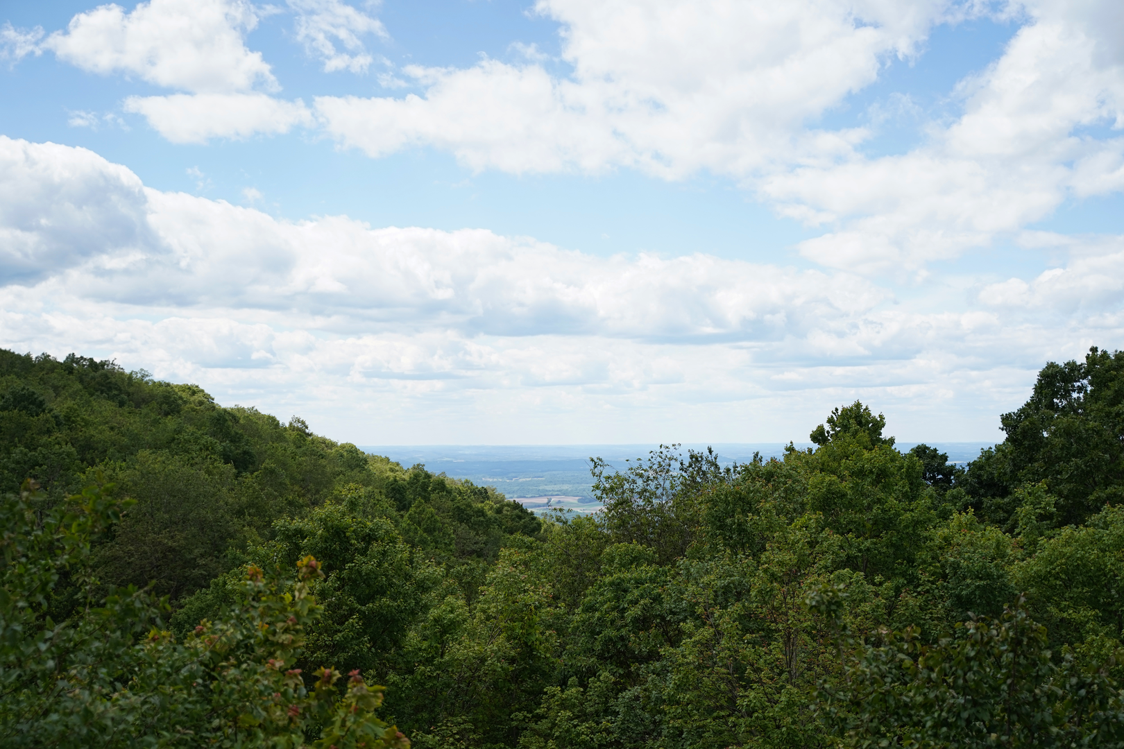 An image depicting the trail Laurel Highlands Ridge Trail and its surrounding area.