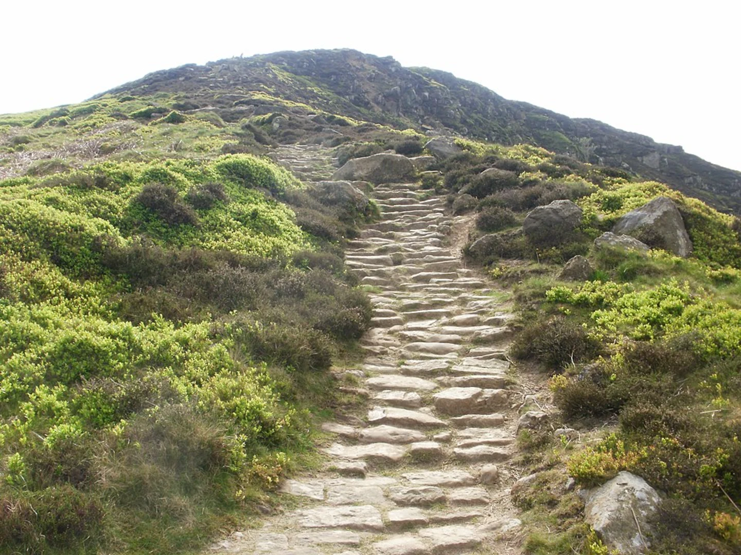 An image depicting the trail Kirkby Bank Loop and its surrounding area.