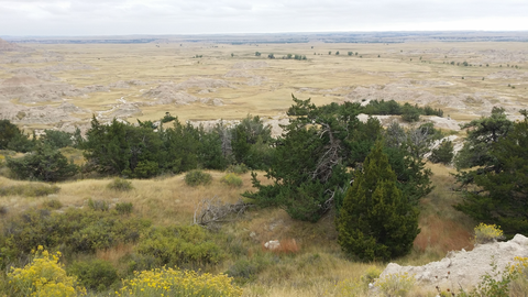 Fossil Exhibit Trail