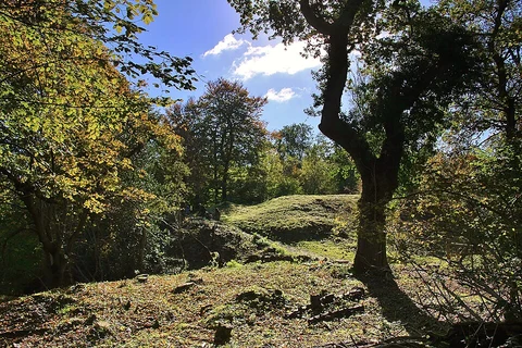 Ashton Court Estate and Leigh Wood