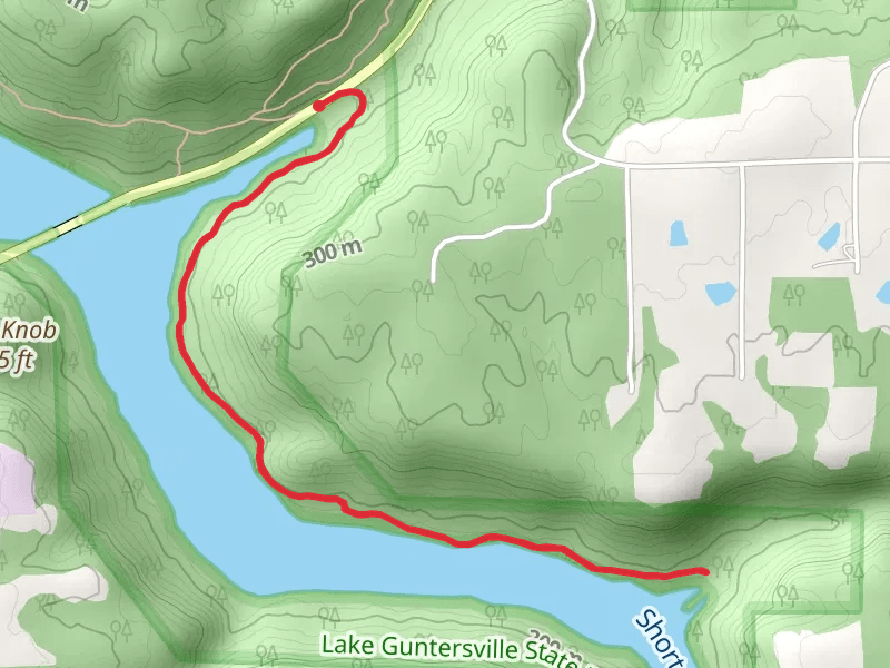 Cutchenmine Trail