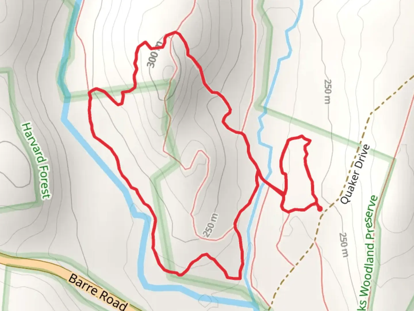 An image depicting the trail East Branch Swift River and Moccasin Brook LoopLoop and its surrounding area.