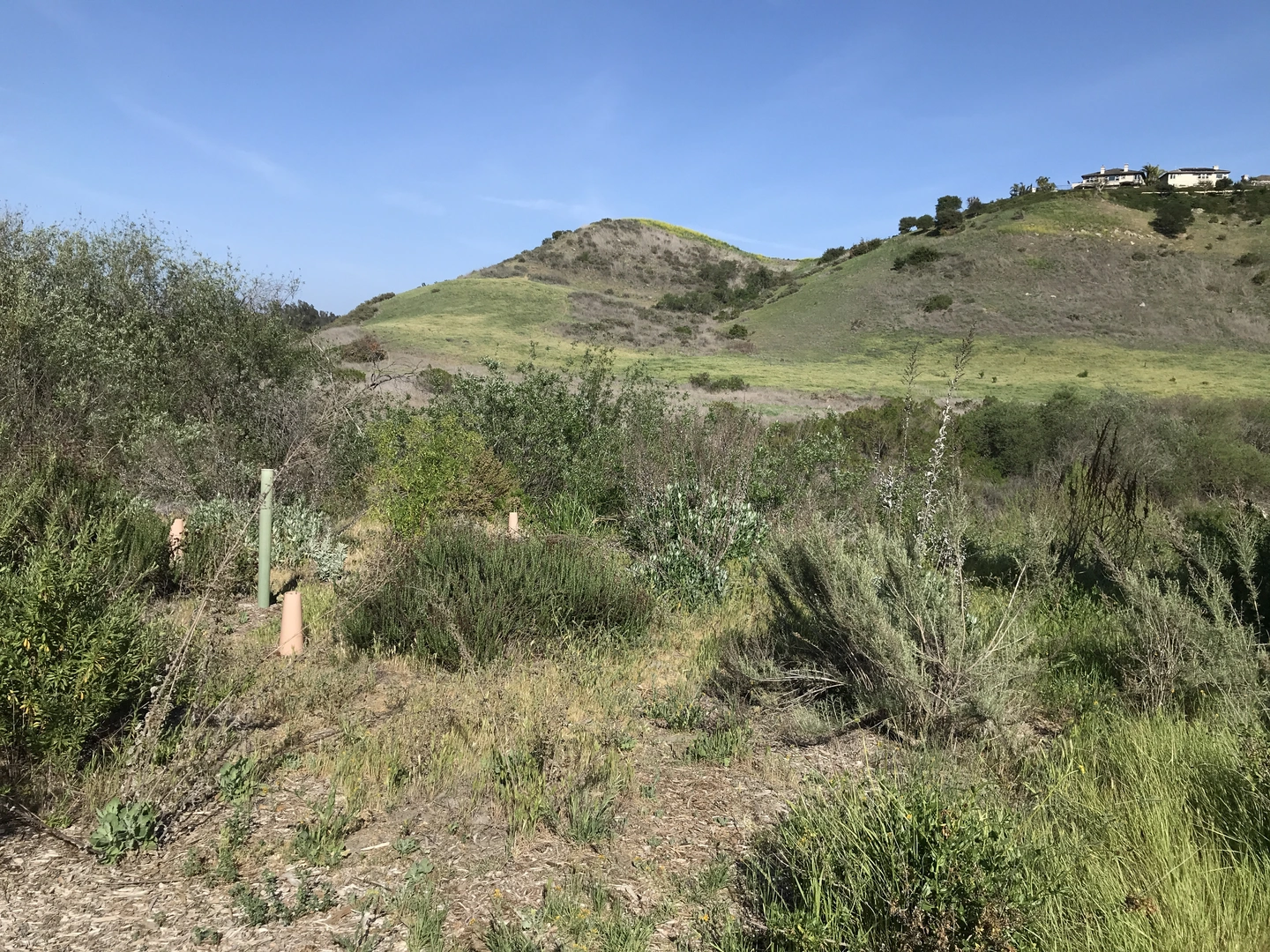 An image depicting the trail West Ridge Trail and its surrounding area.
