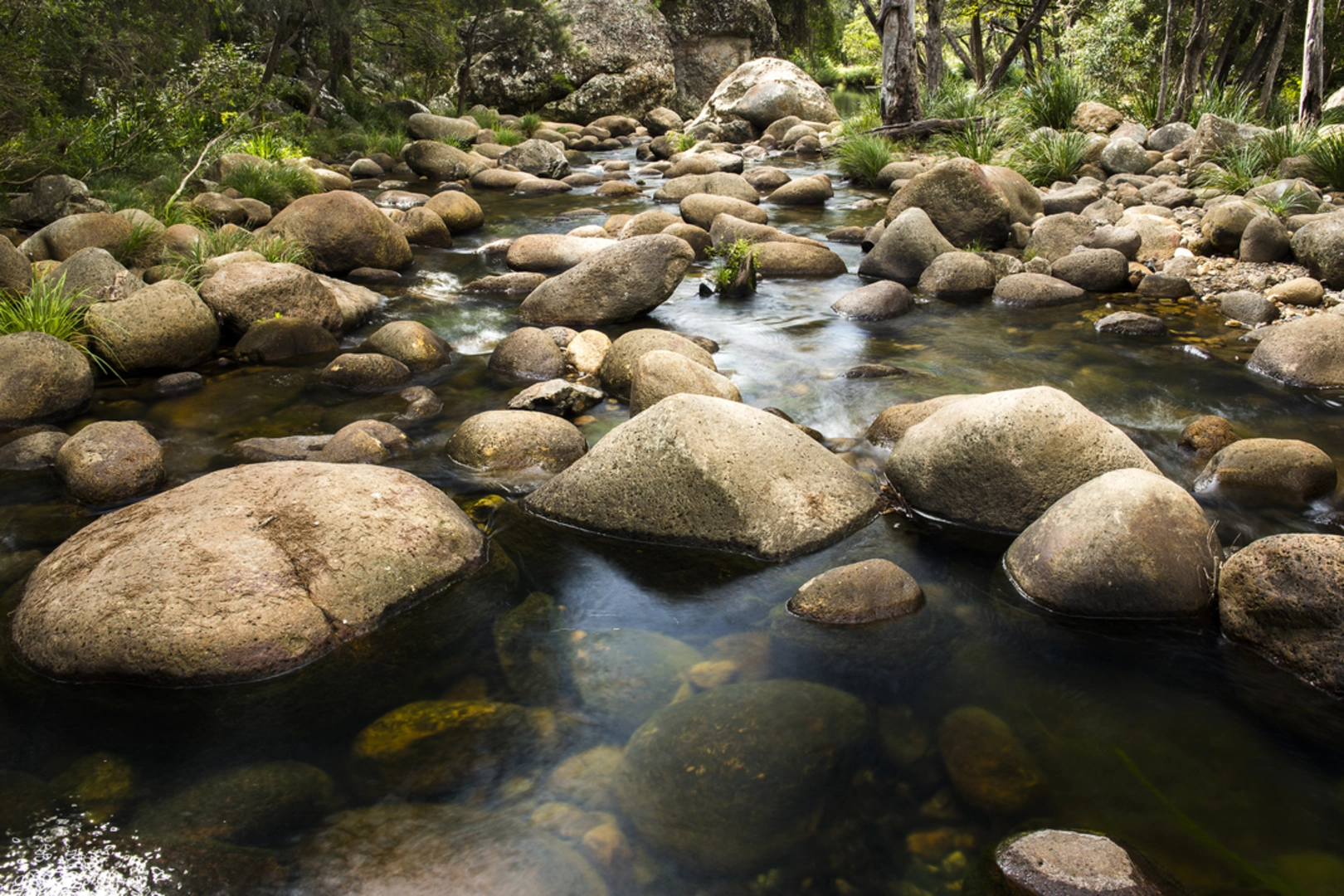 An image depicting the trail Heritage Trail - Spicers Gap and its surrounding area.