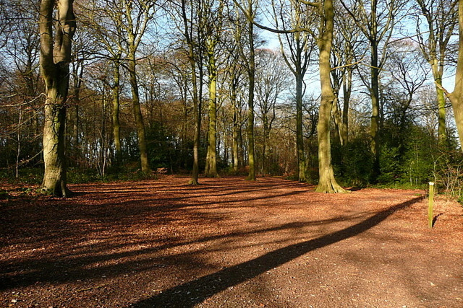 An image depicting the trail Amersham Circular Walk and its surrounding area.