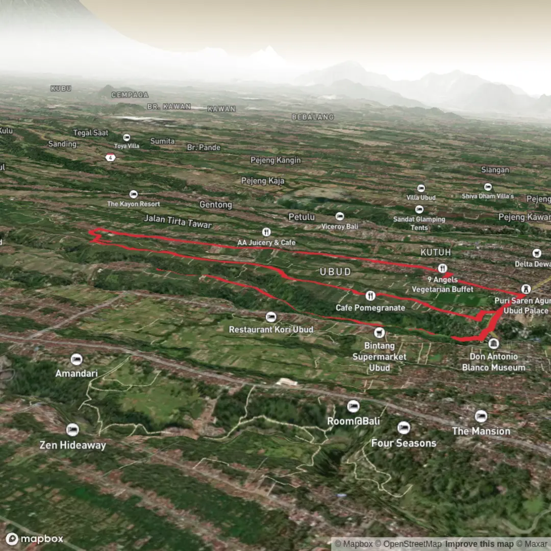 An image depicting the trail Campuhan Ridge & Sweet Orange Walk Trail Ubud and its surrounding area.