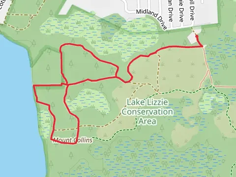 Mount Collins and North Loop Trail
