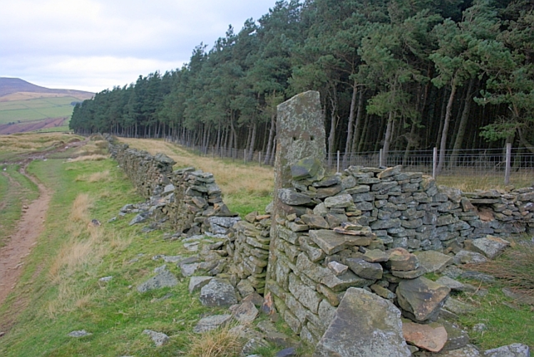 Wooler Knoll, Win Hill and Haggwater Bridge Loop