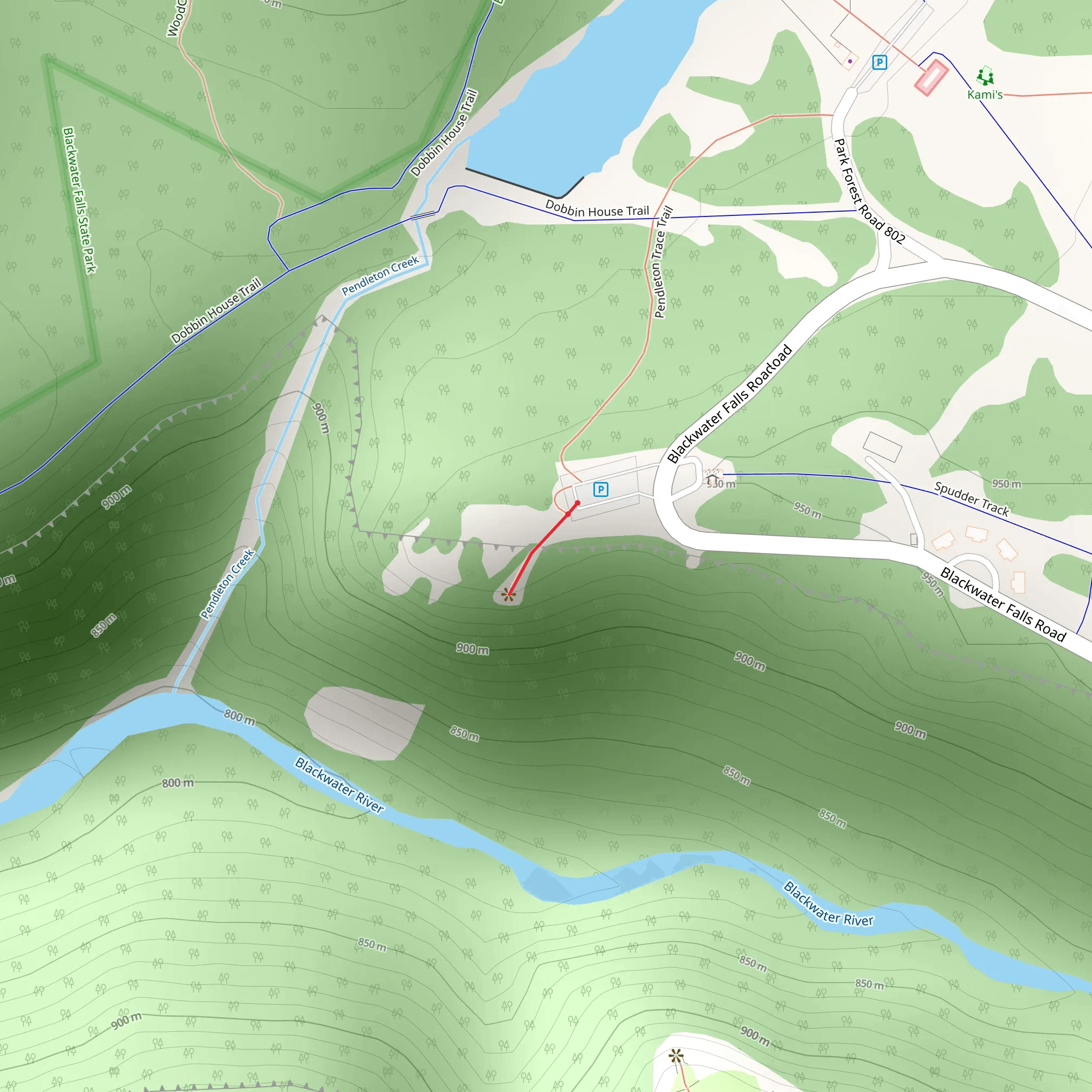 Blackwater Falls Road Out and Back mobile static map