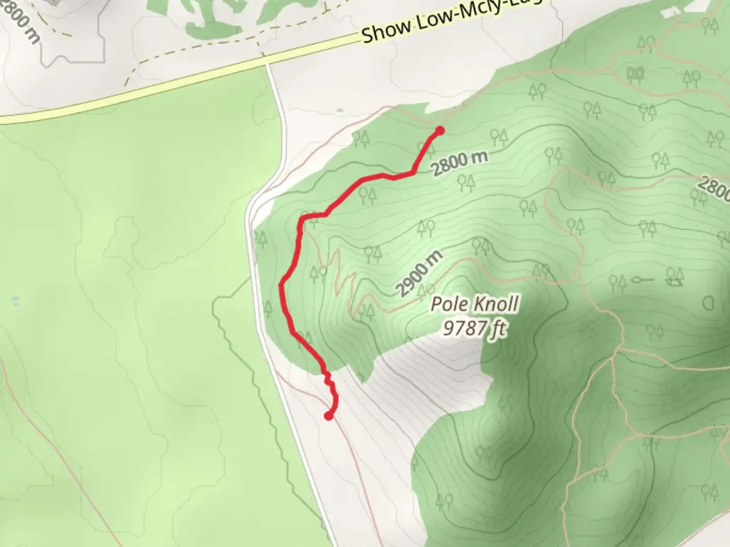 An image depicting the trail Grouse Trail and its surrounding area.