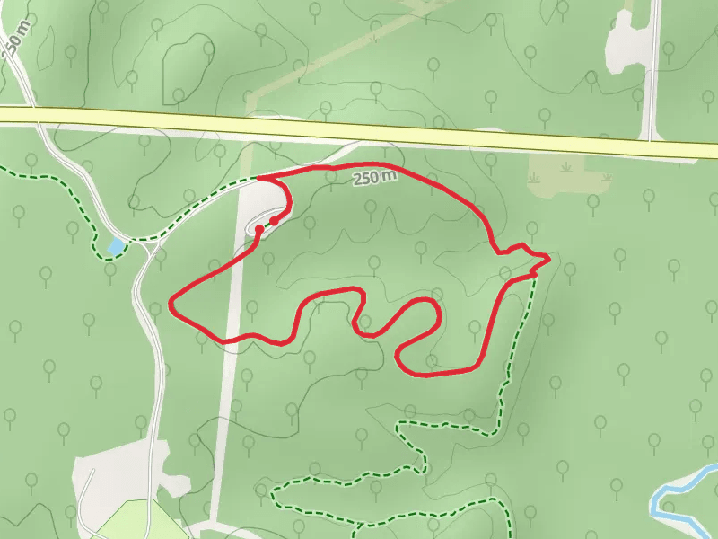 McAdoo Trail - Yellow and White Connector 1 Loop