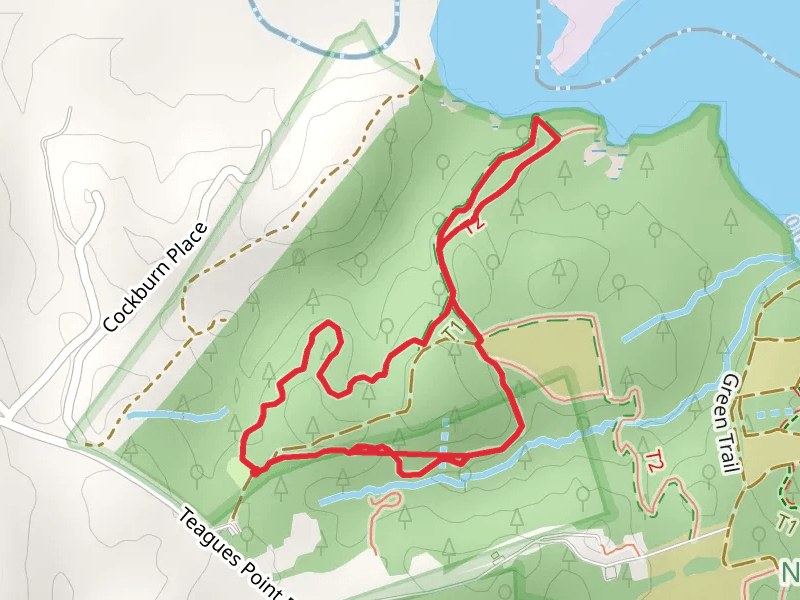 Brown Loop Trail