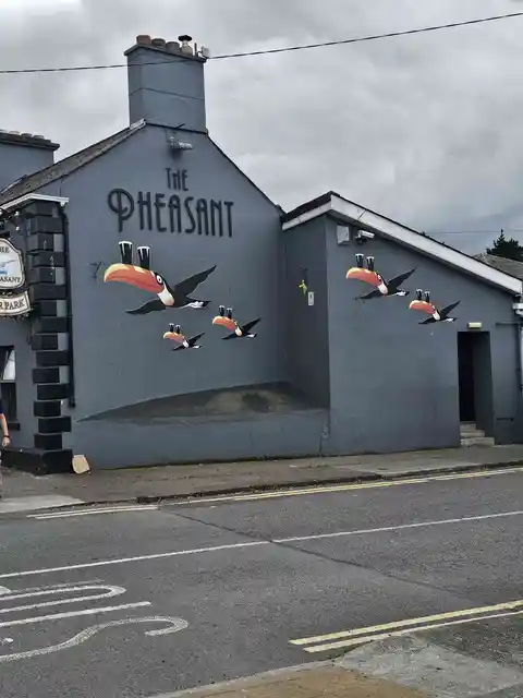 Drogheda Walls Walk