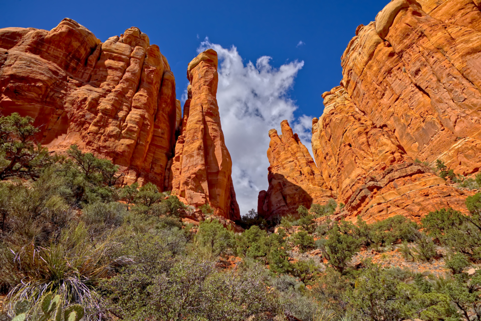 An image depicting the trail Hiline Trail and its surrounding area.