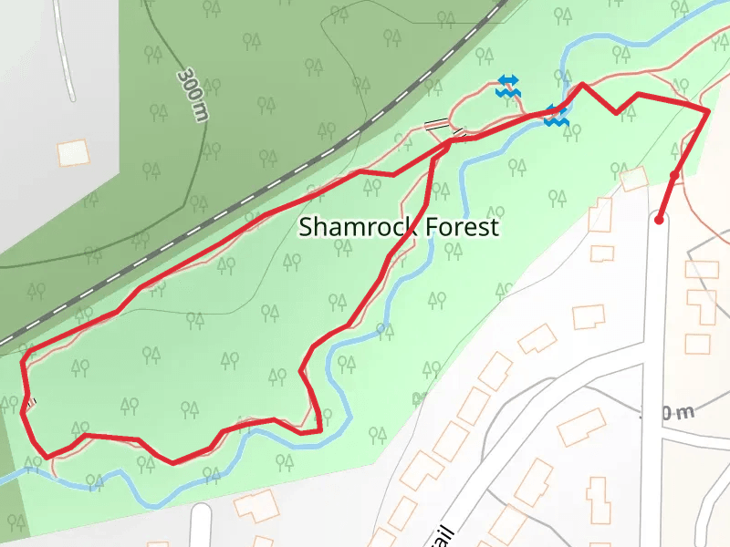 Burnt Fork Creek Loop