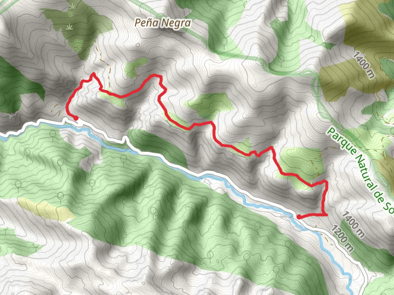 Route of the Brañas de Saliencia