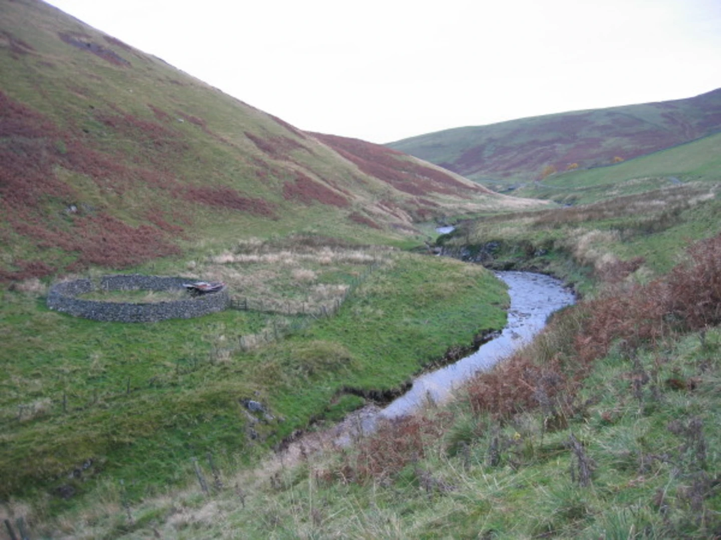 Sheepfold, Copper Scout and Uplaw Knowe Loop | Northumberland | Englan