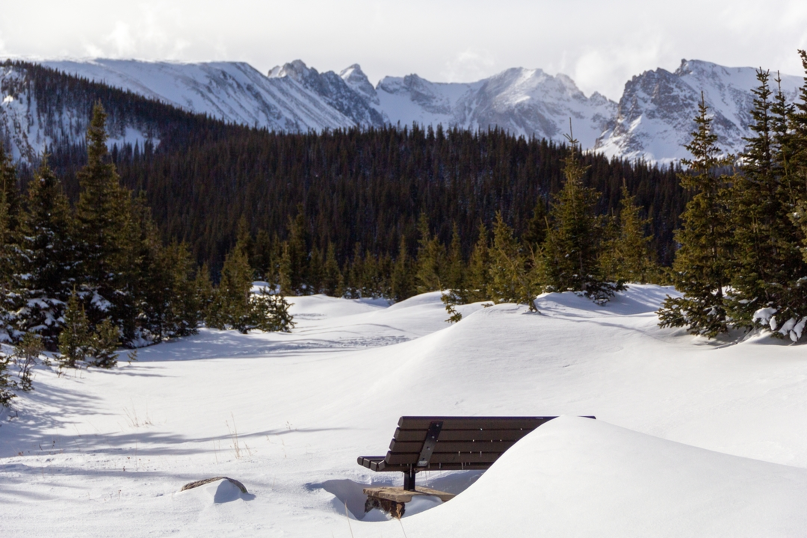 An image depicting the trail Red Rock Lake to Brainard Lake and its surrounding area.