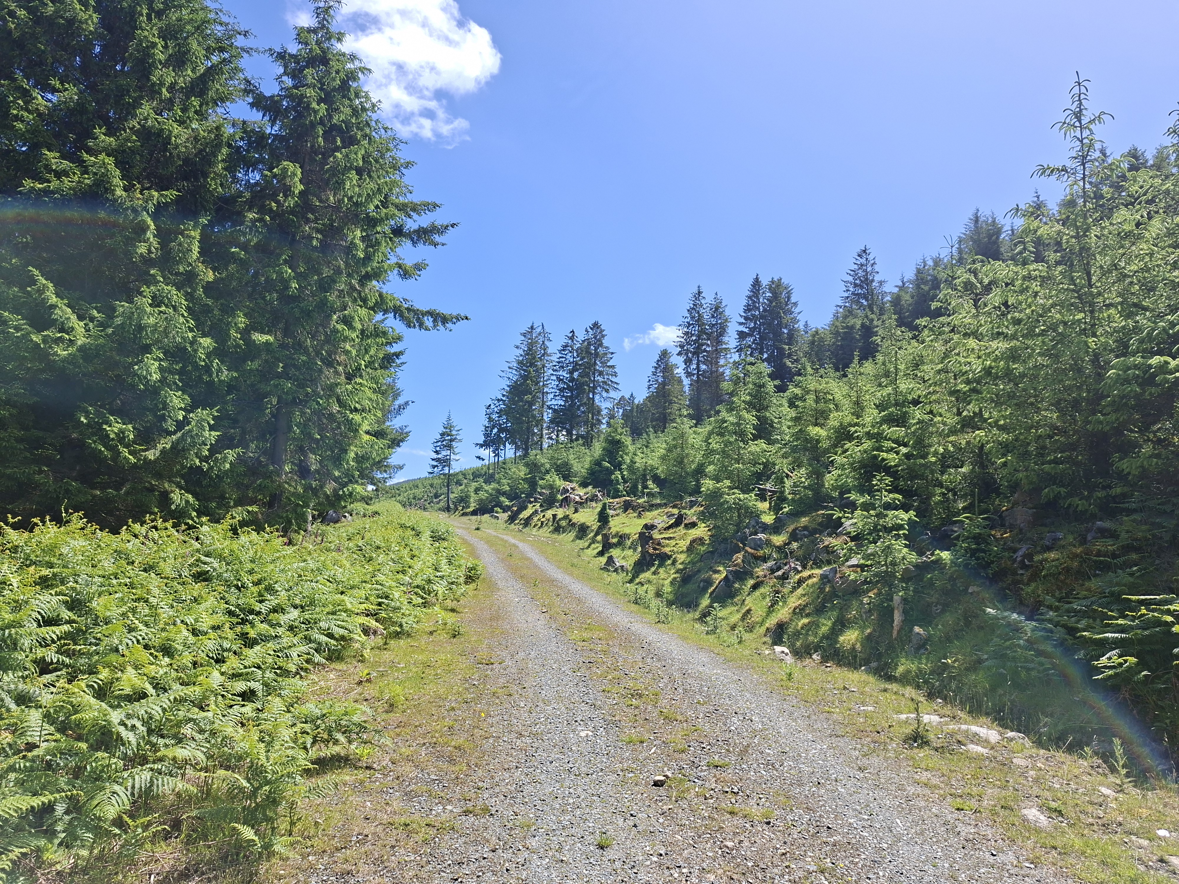 A map preview of the recording Hike on Crone Hill Hike.