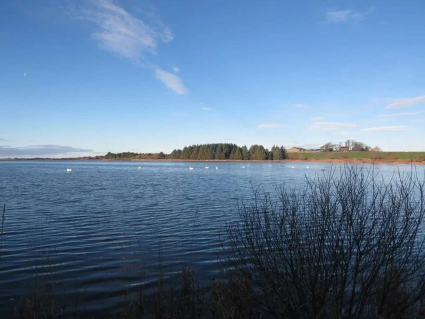 An image depicting the trail Cameron Reservoir Loop and its surrounding area.