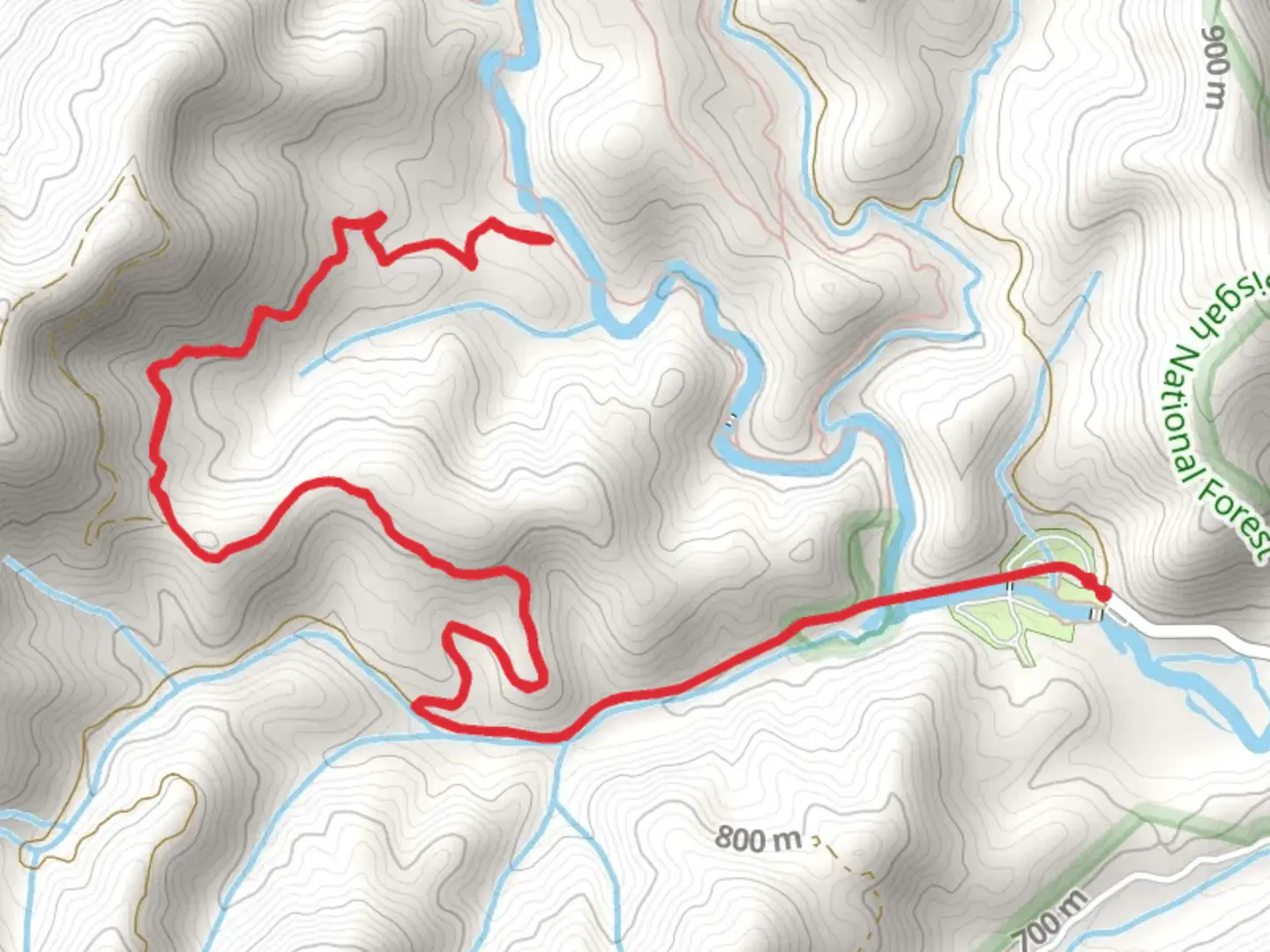 An image depicting the trail North Fork Mills River via Yellow Gap and its surrounding area.