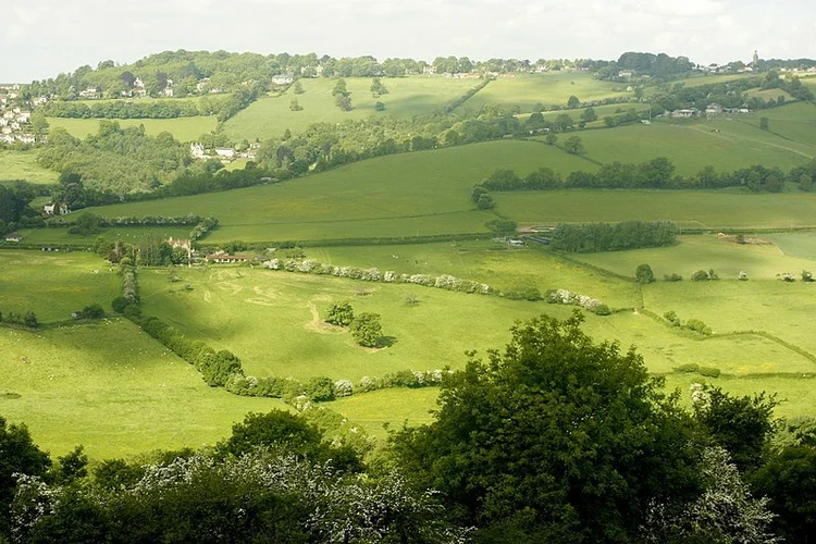 Charmy Down Loop