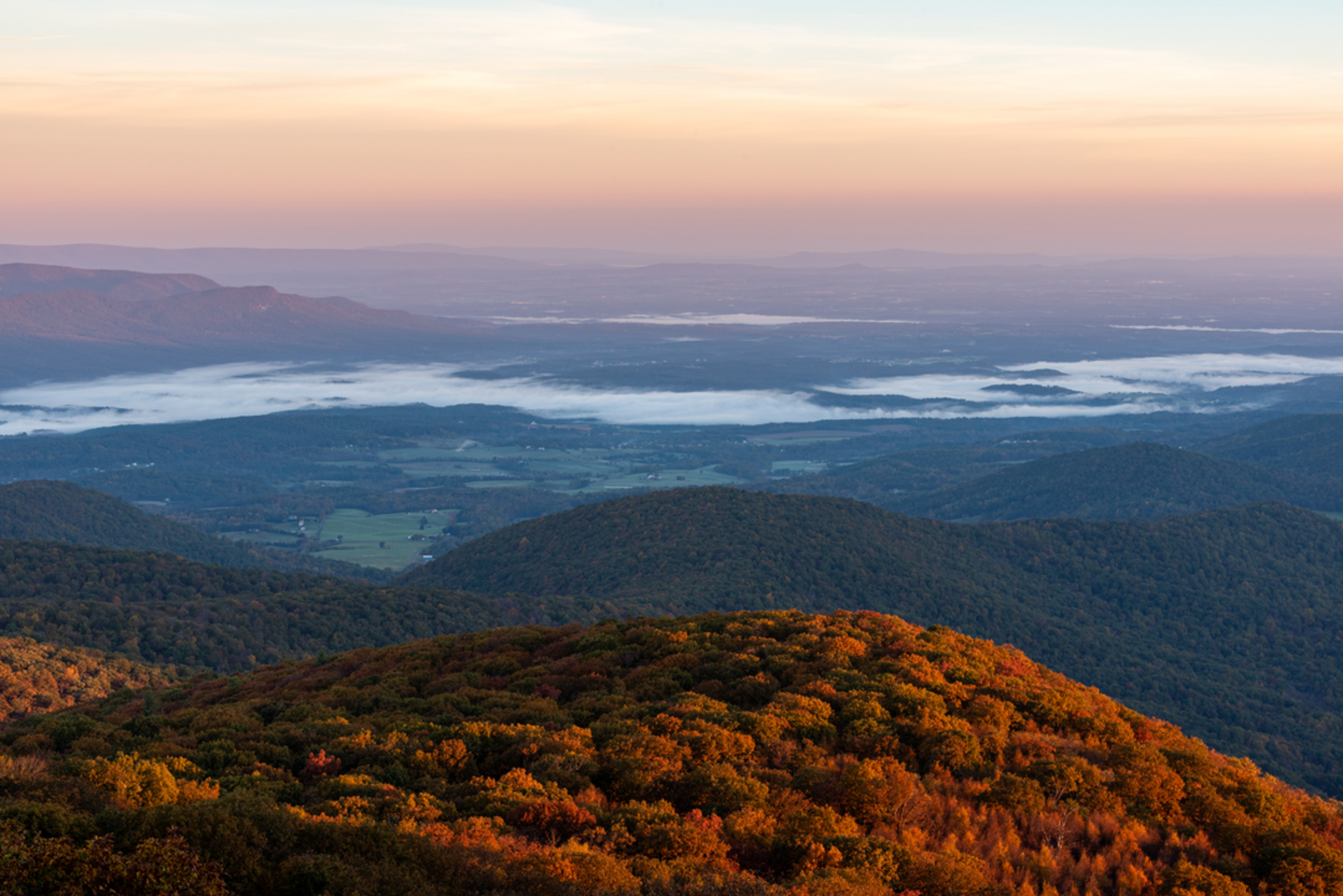 An image depicting the trail Tuscarora - Overall Run Trail and its surrounding area.