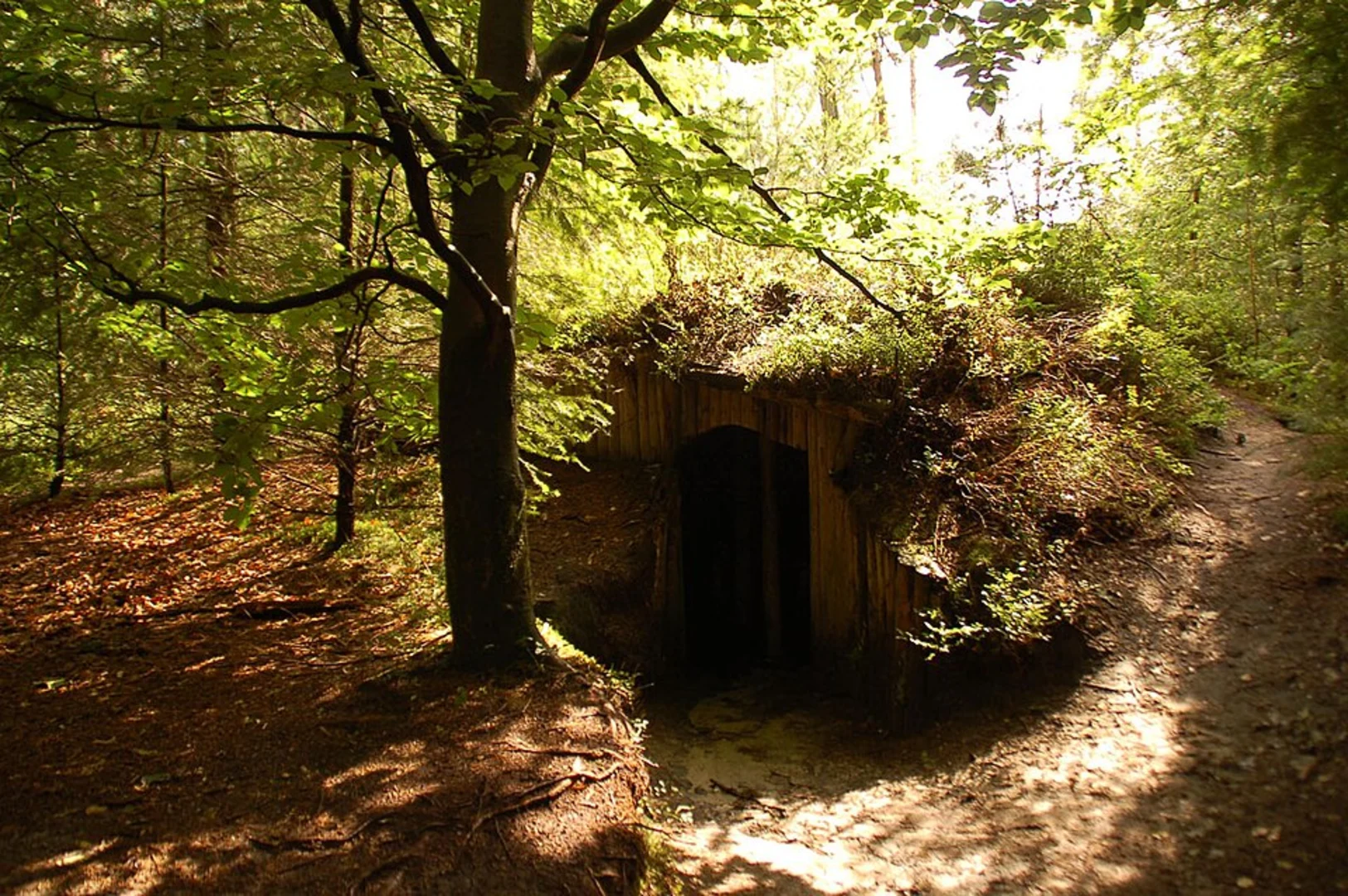 An image depicting the trail Boswachterij Nunspeet and Hendrik Mouwenveld Loop and its surrounding area.