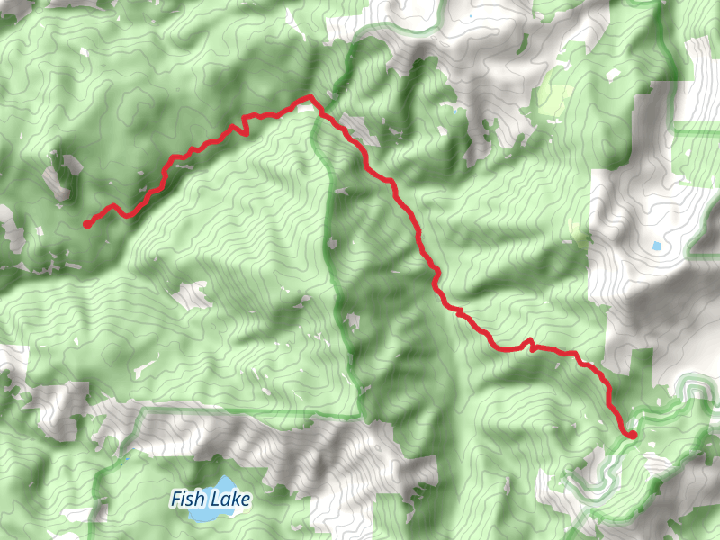 Castle Creek Trail