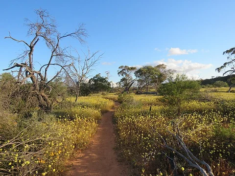 Plateau Loop Trail