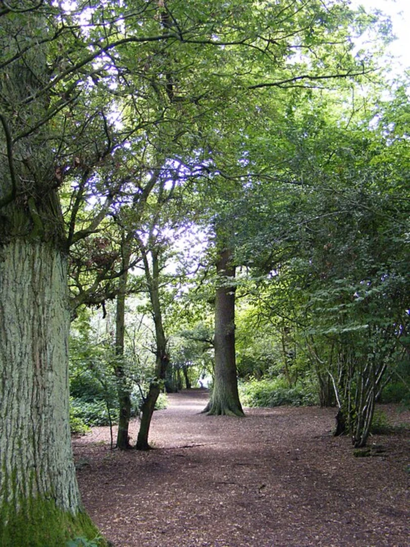 An image depicting the trail Furzefield Wood and Hertfordshire Way and its surrounding area.
