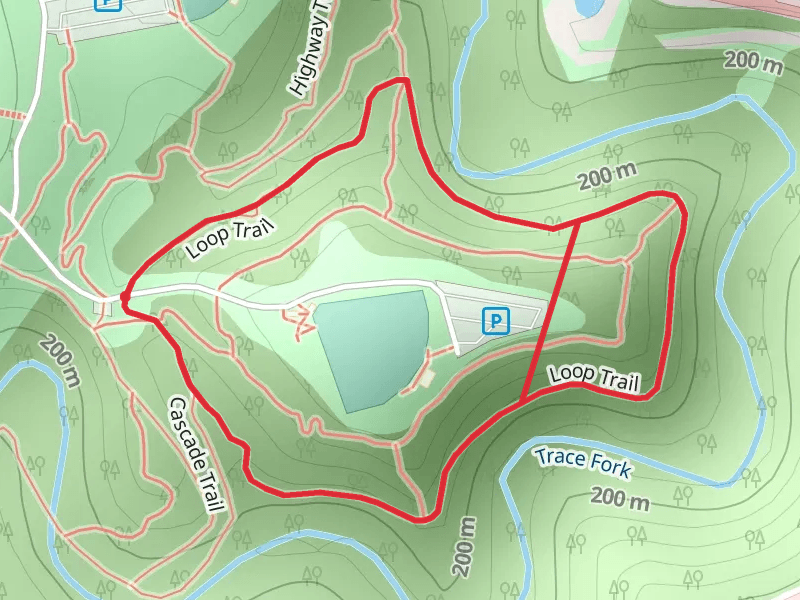 Trace Fork Loop