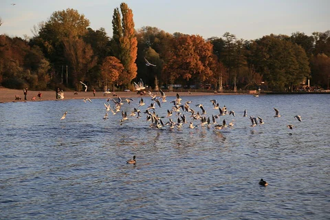 Teufelssee via Spree Weg and Grottewits Wanderweg