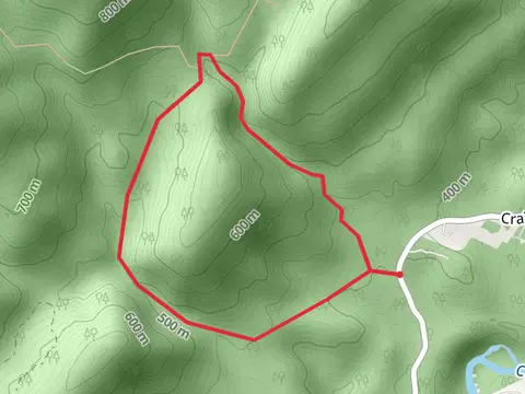 Hoop Hole Loop
