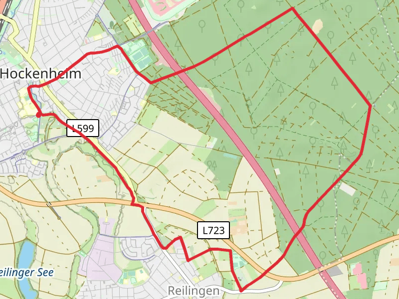 Hockenheim Loop via Ketscher Weg and Reilinger Eck