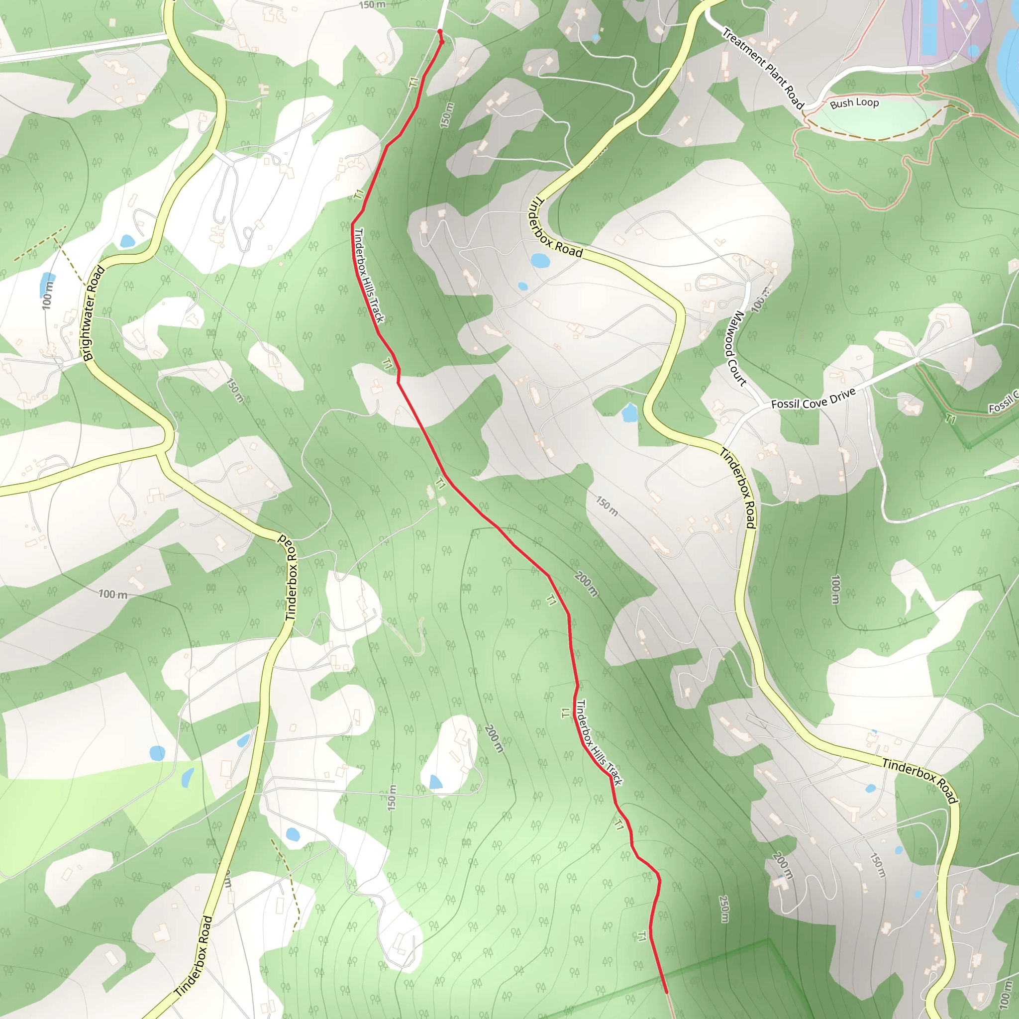 Tinderbox Hills Track | Kingborough | Tasmania