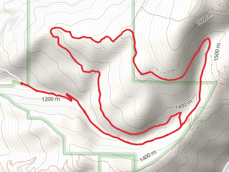 Woods Gulch and Three Larch Loop