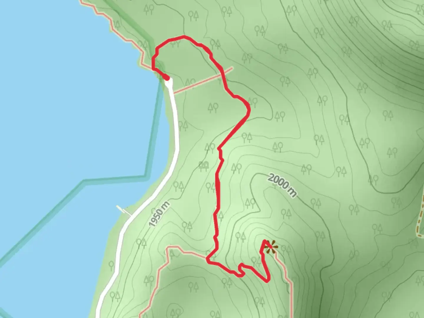An image depicting the trail Little Crater Trail Out and Back and its surrounding area.