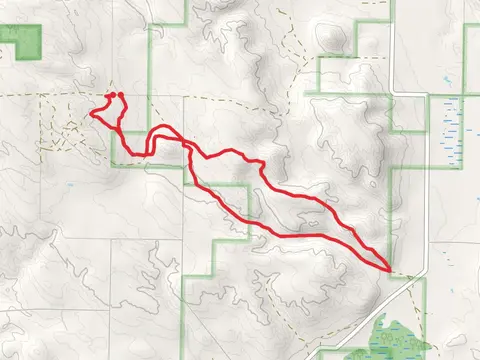 NCT and Taylor Road Loop