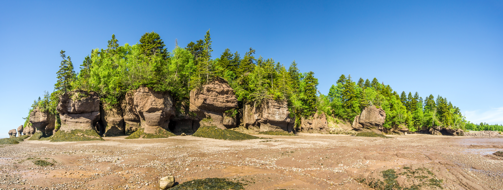 An image depicting the trail Fundy Footpath Trail and its surrounding area.