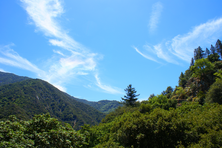 Gabrielino NRT, Upper Winter Trail and Big Santa Anita Creek Loop