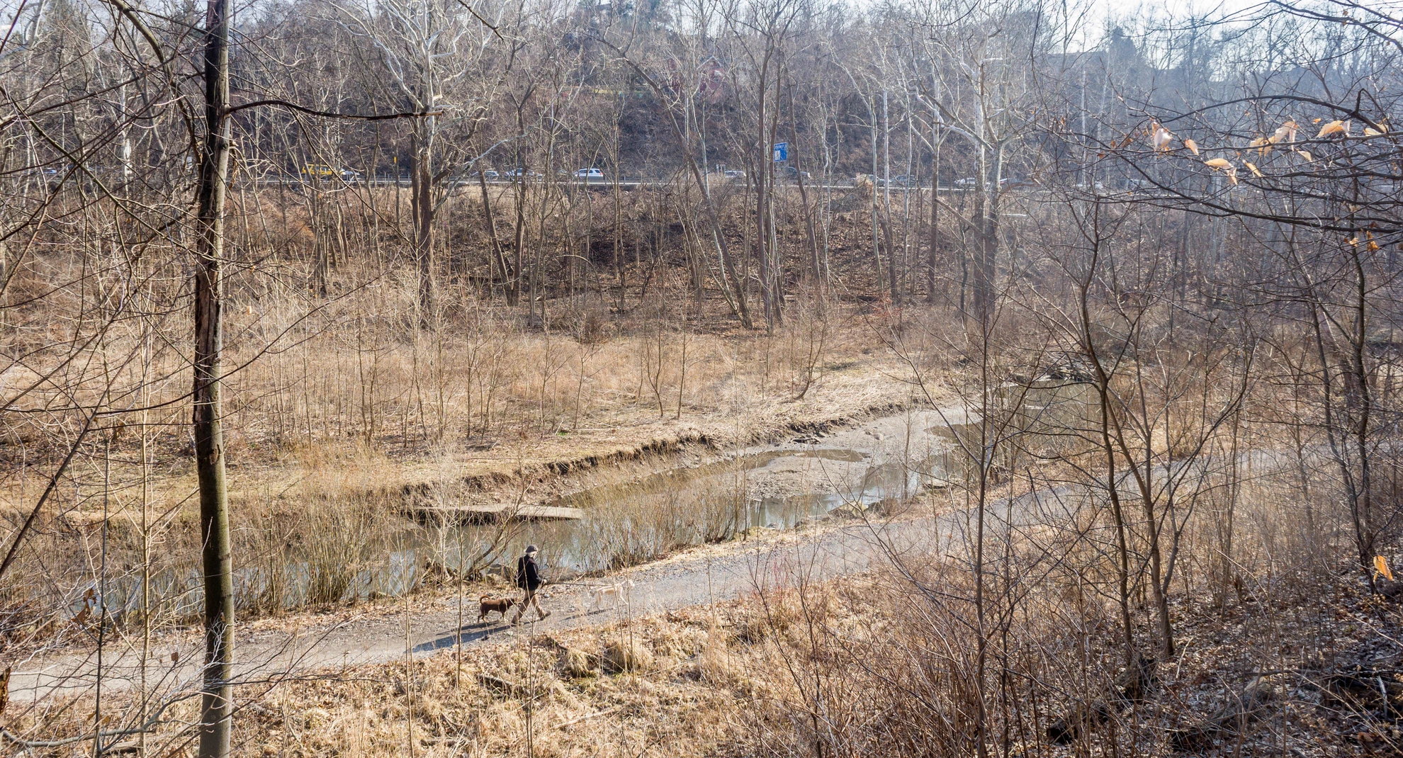An image depicting the trail Frick Park Hiking Loop Trail and its surrounding area.