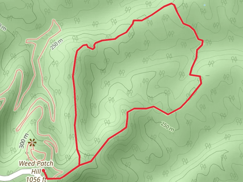Weed Patch Hill - Hiking Trail