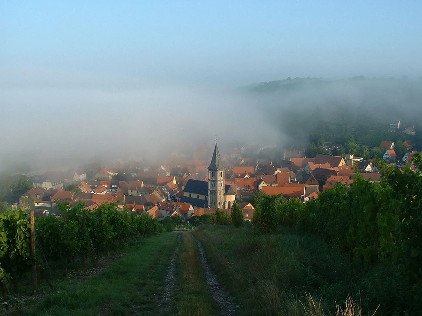 An image depicting the trail Randersackerer Lämmerberg and Altenbergsweg and its surrounding area.