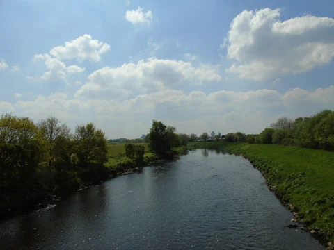 Kersal Wetlands and Crescent Meadow Walk