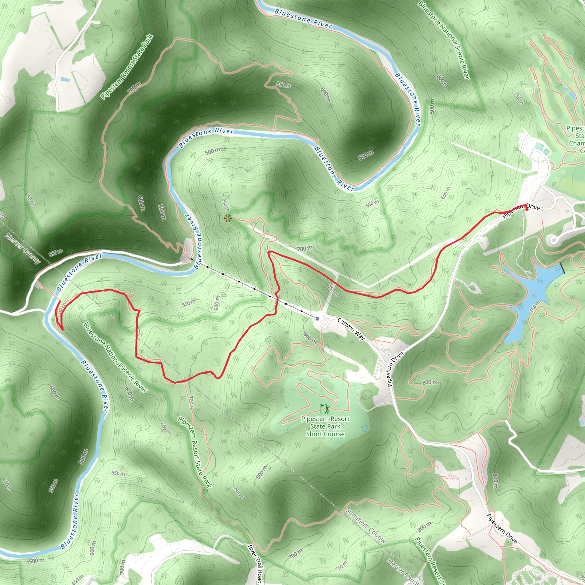 Bluestone River via River Trail mobile static map