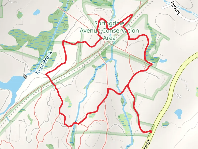 Trout Brook via Blue Trail