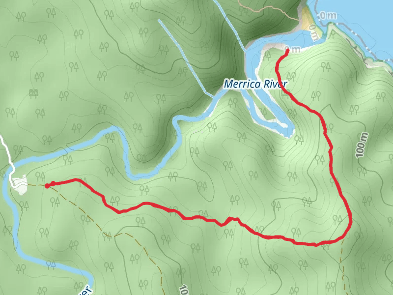 Merrica River Nature Trail